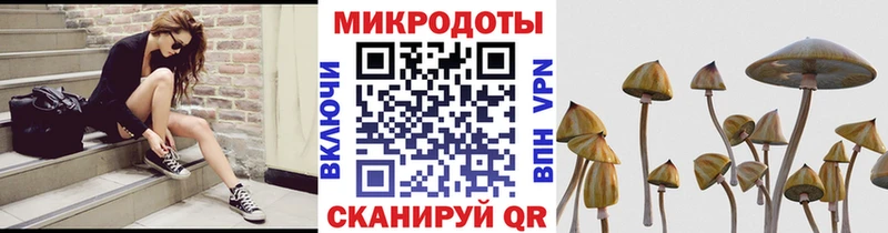 Галлюциногенные грибы прущие грибы Купить где Озёрск